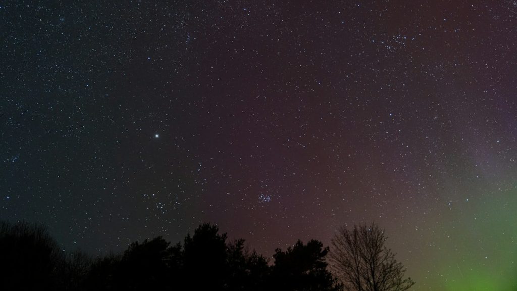 Stars and a faint aurora appear over trees