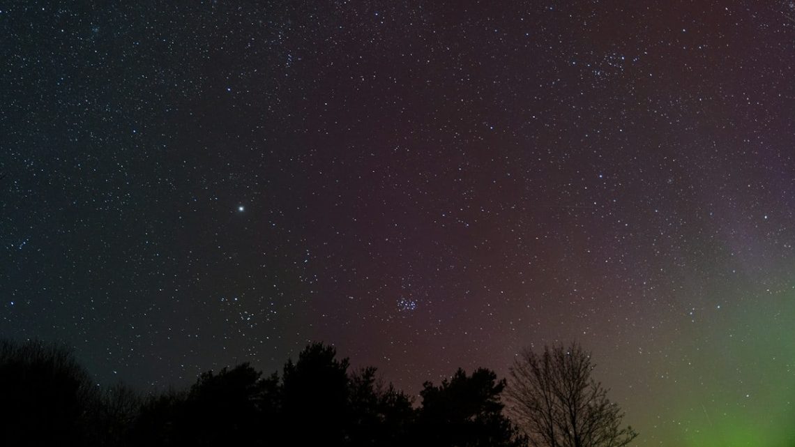 Stars and a faint aurora appear over trees