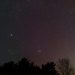 Stars and a faint aurora appear over trees